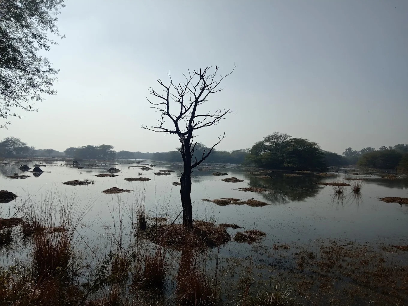 Sultanpur National Park